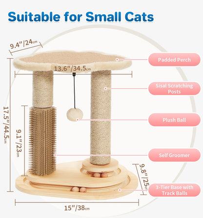 Cat Scratching Post